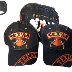 Texas Baseball Cap Tx Jx-294