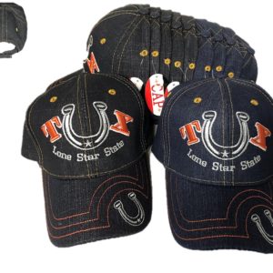 Texas Baseball Cap Tx Jx-299