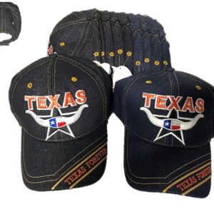 Texas Baseball Cap Tx Jx-303
