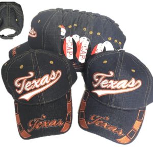 Texas Baseball Cap Tx Jx-302